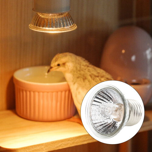 Full Spectrum UVB Bulb for Reptiles 50W