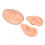Silicone Ear & Nose Practice Model Light Skin 3D Piercing Display 15