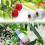 Garten Obstbaum Veredelungsschere, Obstbaum Veredelungsschneidewerkzeug 4