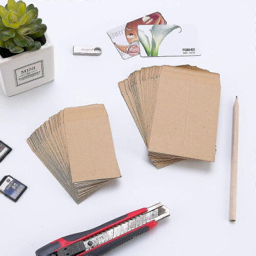 100pcs Kraft Envelopes Self-adhesive Seed Envelopes 2