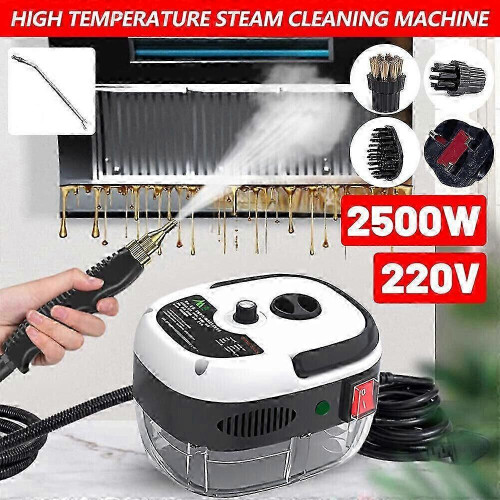 Draagbare handstoomreiniger van 2500 W met hoge temperatuur. 1