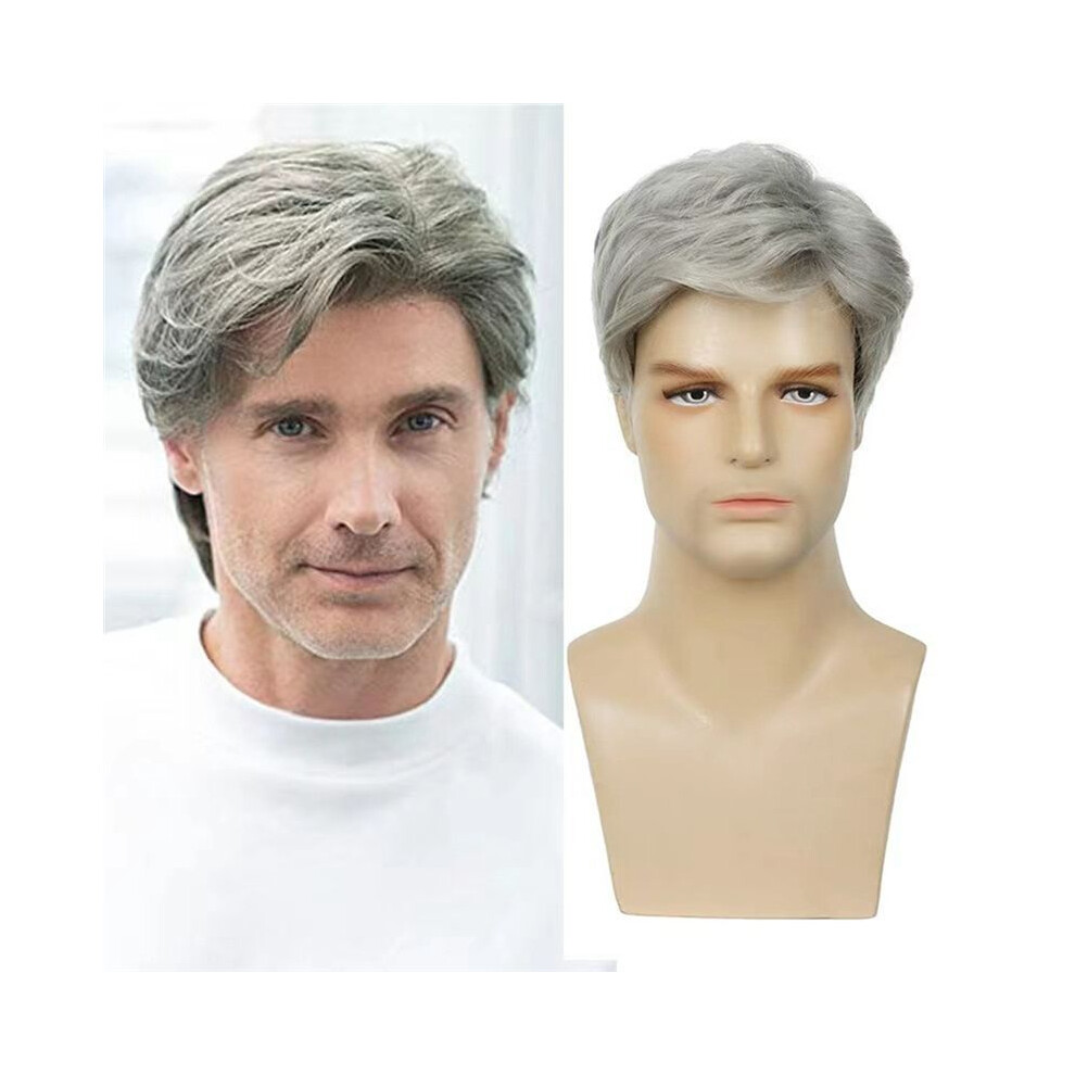 Tlily Unisex Gray/White Wigs Synthetic Wigs With Bangs Heat Resistant Glueless Synthetic Wigs For Short Wigs Cosplay Wigs Wig Daily Use