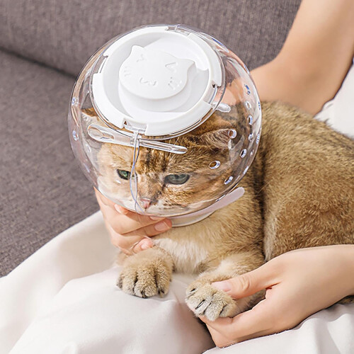 Bubble Muzzle  Clear Cat Muzzle Pet Provides Kitten  Cat Care with AntiBite Accessory, Kitten Care Clear for 14cm 1