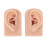 Silicone Ear Model 2PCS Soft Reusable Medium Skin 8x5x3.5cm 2