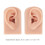 Silicone Ear Model 2PCS Soft Reusable Medium Skin 8x5x3.5cm 6