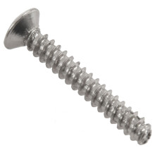 200Pcs Chrome Single Coil Pickup Screws & Adjust Height Springs for Guitar
