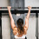 Adjustable Pull Up Bar Doorway 47-63in No Drill Strength Training Home Gym 2