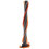 Main Brush Compatible With Philips 360 Degree Suction Speedpro Aqua Speedpro 2