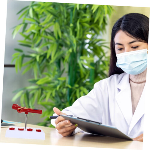 Anatomical Vessel Model PVC Cardiovascular Visual Pathology Display for Medical School Teaching Aid 2