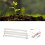 Sunlike 4-Head LED Grow Light for Indoor Plants Dimmable Timer USB Plug 16