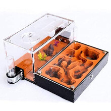 Large Acrylic Ant Farm with Gypsum Nest, Moisture Control and Feeding Area, 22.3x19.7x9.5cm