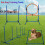 Dog Agility Training Set for Home & Pro Use 2