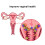 300ML Reusable Vaginal Douche Cleaner Portable Enema System 2