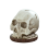 Skull Knife Holder Kitchen Storage Rack 1