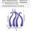 Inflatable Octopus Arms with Suction Cups (4-Pack) 3