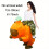 Party Inflatable Capybara with Green Hat 4