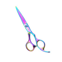 Professional 6 Inch Hair Cutting Scissors with Precision Blades and Ergonomic Grip for Salon and Home