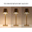 Rechargeable LED Touch Table Lamp 35cm Gold Dimmable WarmWhite 4