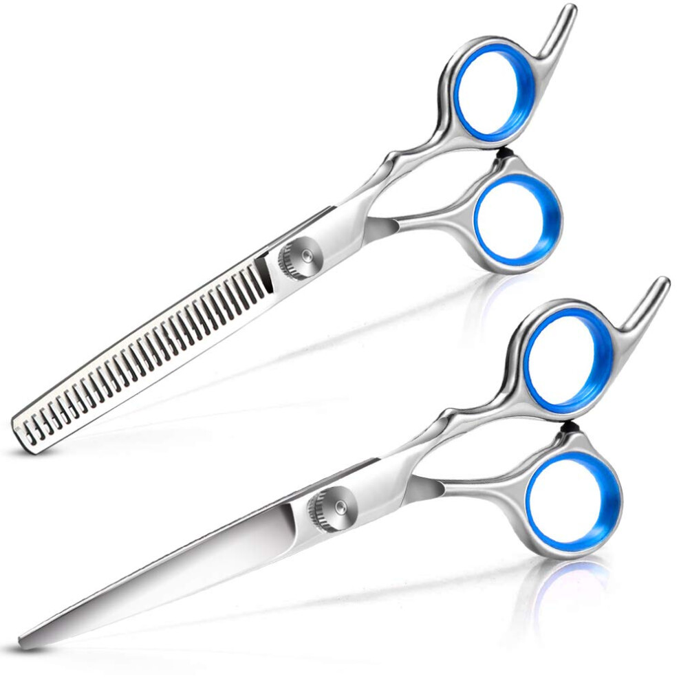 Professional Hair Cutting Scissors Set with Japanese Steel Blades and Thinning Shears for Salon