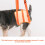 2pcs acrylic cat yard stake, clear pet decor ground ornament 4