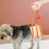 2pcs acrylic cat yard stake, clear pet decor ground ornament 7