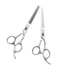 Professional Hair Cutting Scissors Set 6 Inch 9CR Stainless Steel Dual Shear Kit for Salon and Home