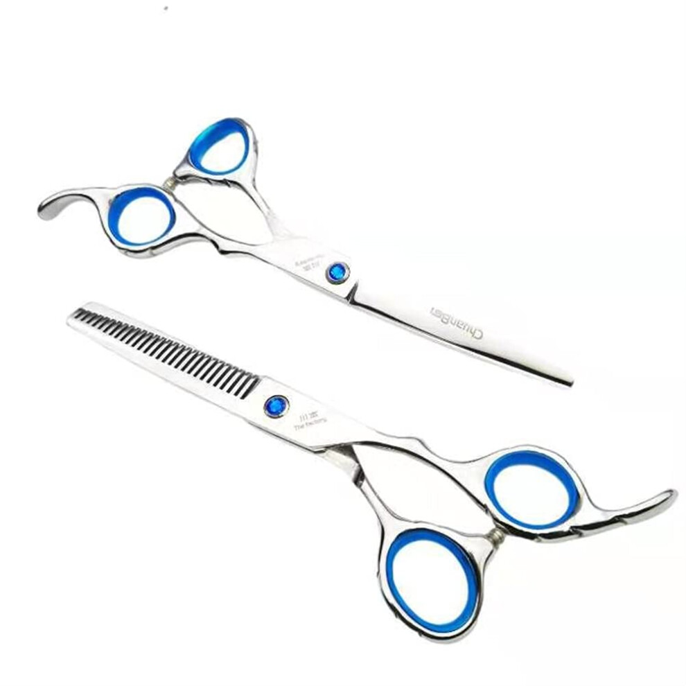 Professional Hair Cutting Scissors Set with Thinning Shears, Ergonomic Handle for Salon and Home
