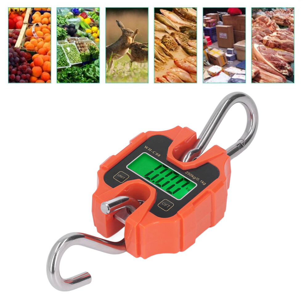 Mini Digital Crane Scale 250kg Portable Handheld LCD Weighing Tool