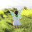 Colorful LED Fairy String Light 60x48cm Warm Light Decorative Toy 6