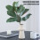 Simulation Magnolia Leaves with Realistic Bud Artificial-Green 3