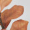 Simulation Magnolia Leaves with Realistic Bud Artificial-Green 5