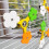 Rotating Windmill Spinner Bird Cage Toy For Parrots 6
