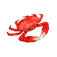 Krab knuffelkussen van PP-katoen, ideaal voor-35 Koningskrab