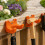 Multipurpose Plastic Wall Mounted Hook Gardening Tool Holder-1 6