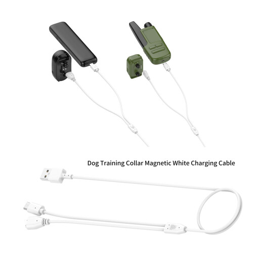 Câble de charge magnétique pour collier de dressage de chien 1