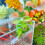 Miniature Animal Model Lovely Table Decorative Figurines-4 6