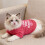 3pcs Summer Pet Clothes Funny Printed Vests-L. Combination 2 4