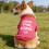 3pcs Summer Pet Clothes Funny Printed Vests-L. Combination 2 6