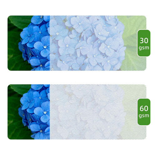 Multipurpose Garden Winter Shield 2x10m/2x5m Cloth-60g2x5m 1
