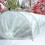 Multipurpose Garden Winter Shield 2x10m/2x5m Cloth-60g2x5m 6
