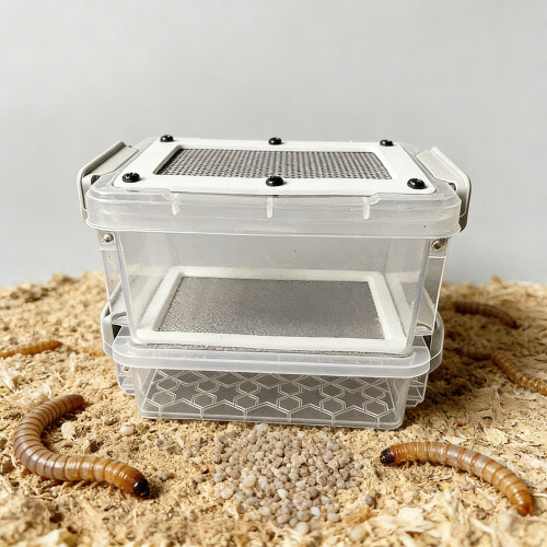 Professional Mealworm Breeding Tanks With- A fine mesh 2