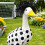 Practical Eye Catching Soccer Geese Decorative Clothing 4