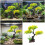 Fish Tanks Resins Tree Decoration Aquariums Artificial-PJ113 3