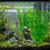 2pack Realistic Aquariums Decoration Artificial-green gladiolus 5