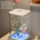 Modern Transparents Bettas Habitats Space-Black Upgraded model 6