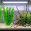 Reptiles Artificial Plant Terrariums-double green pine 5