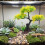 Realistic Aquariums Decoration Plastic Fish Tanks-PJ111 6
