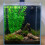2pack Realistic Aquariums Decoration Artificial-green gladiolus 7