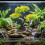 Artificial Simulation Fish Tanks Decoration Simulated-PJ112 7