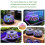 13 Cavity Germination Cultivation Container With Plastic-Pink 6
